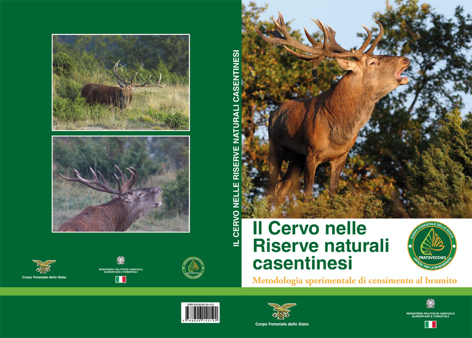 Pubblicazione: 
